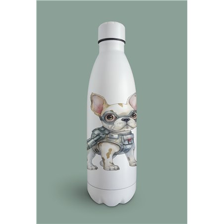 Insulated Bottle  - fb 10