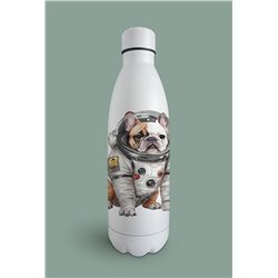 Insulated Bottle  - fb 11