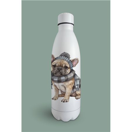 Insulated Bottle  - fb 12