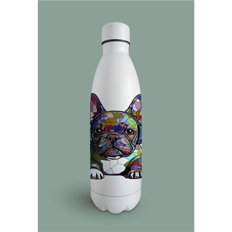 Insulated Bottle  - fb 13
