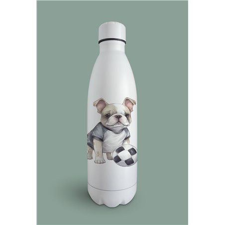 Insulated Bottle  - fb 24