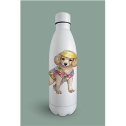 Insulated Bottle  - gr 7