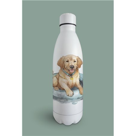 Insulated Bottle  - gr 8