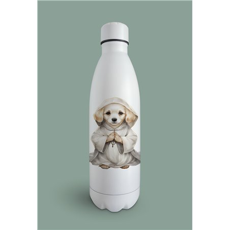 Insulated Bottle  - gr 26