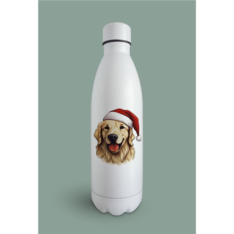 Insulated Bottle  - gr 28