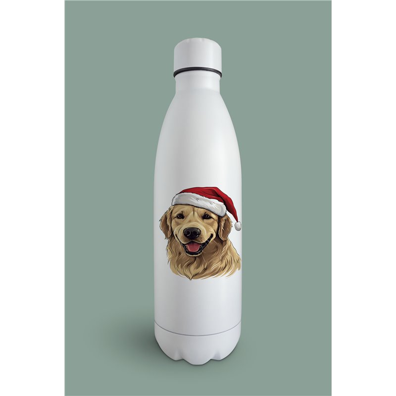 Insulated Bottle  - gr 29