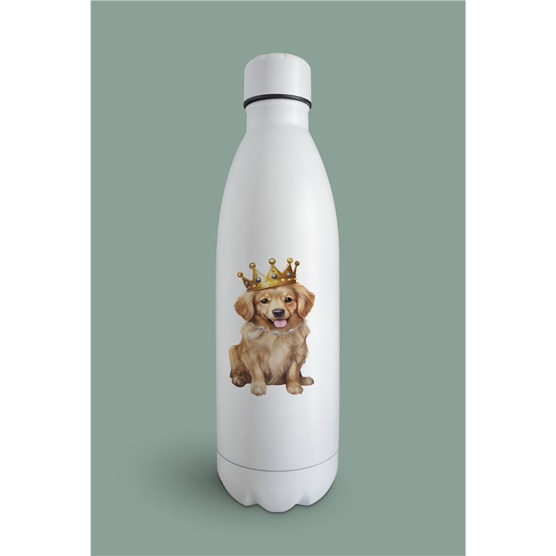 Insulated Bottle  - gr 33