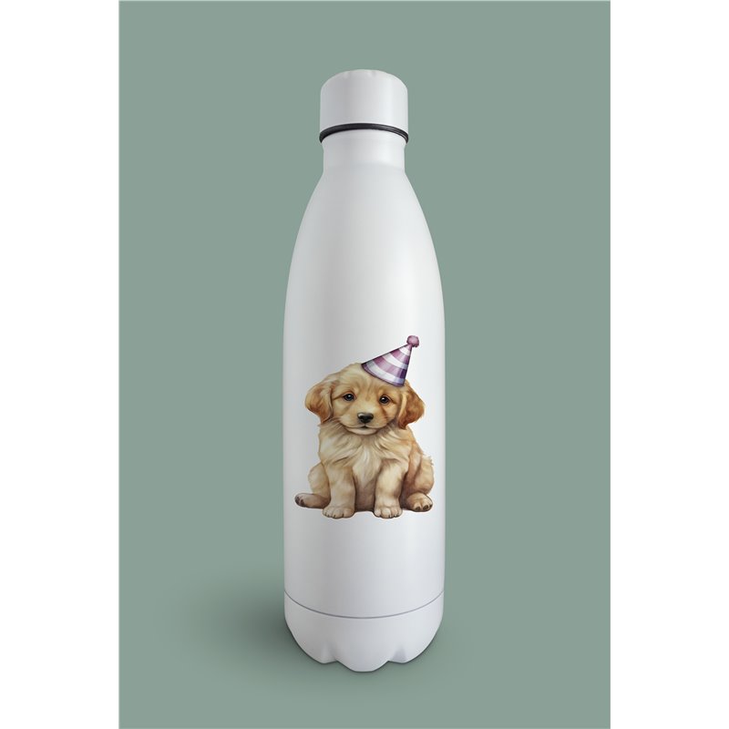 Insulated Bottle  - gr 35