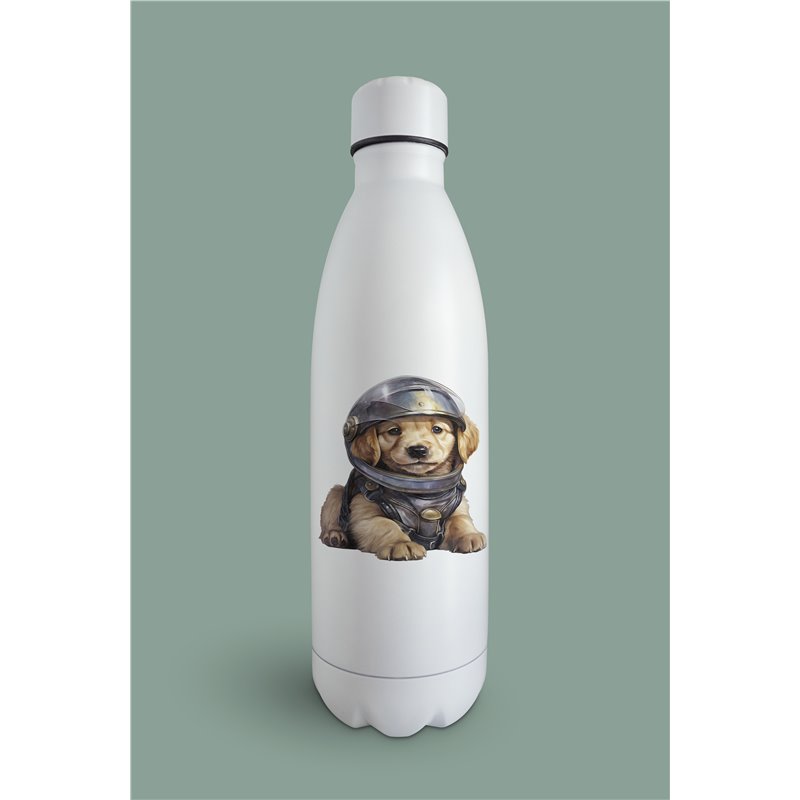 Insulated Bottle  - gr 37