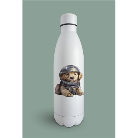 Insulated Bottle  - gr 37