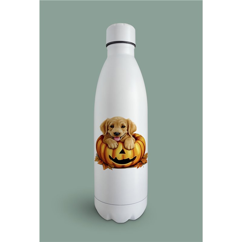 Insulated Bottle  - gr 41