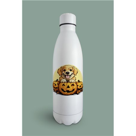 Insulated Bottle  - gr 42