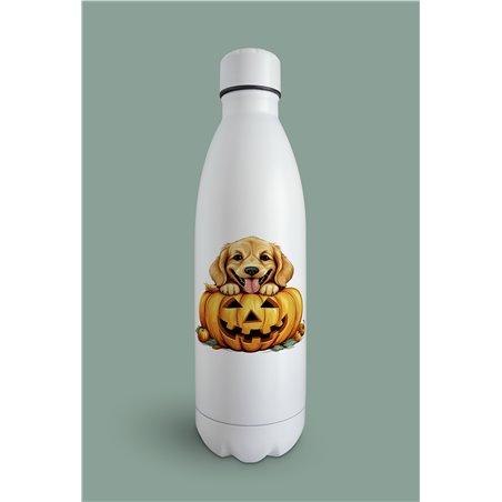 Insulated Bottle  - gr 43