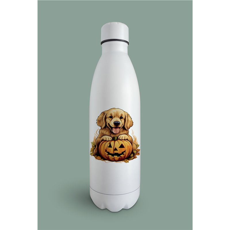 Insulated Bottle  - gr 44