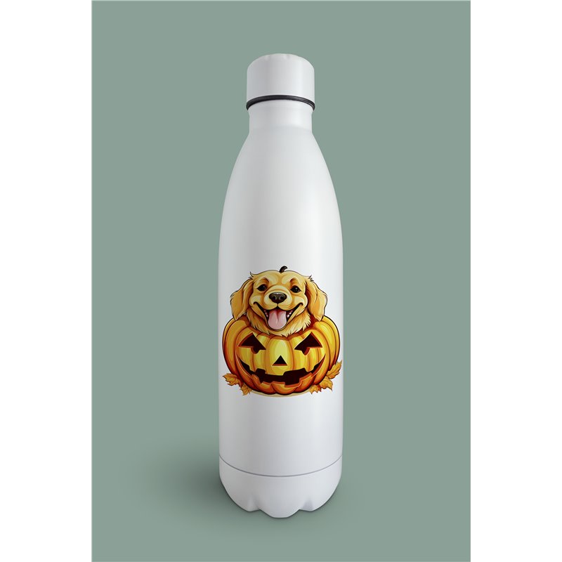 Insulated Bottle  - gr 46