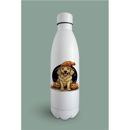 Insulated Bottle  - gr 48