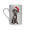Bone China Mug - gd 25
