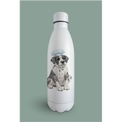Insulated Bottle  - gd 1