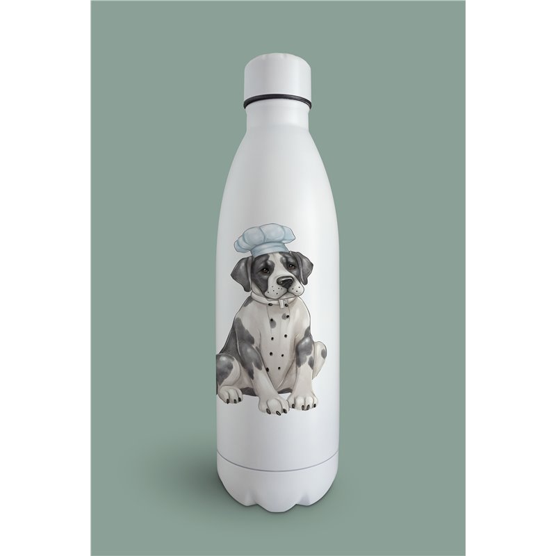 Insulated Bottle  - gd 1