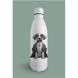Insulated Bottle  - gd 2