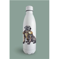 Insulated Bottle  - gd 3