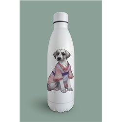 Insulated Bottle  - gd 4