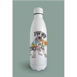 Insulated Bottle  - gd 6