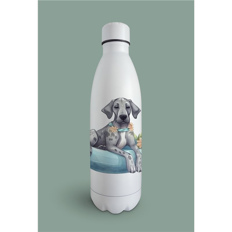 Insulated Bottle  - gd 7