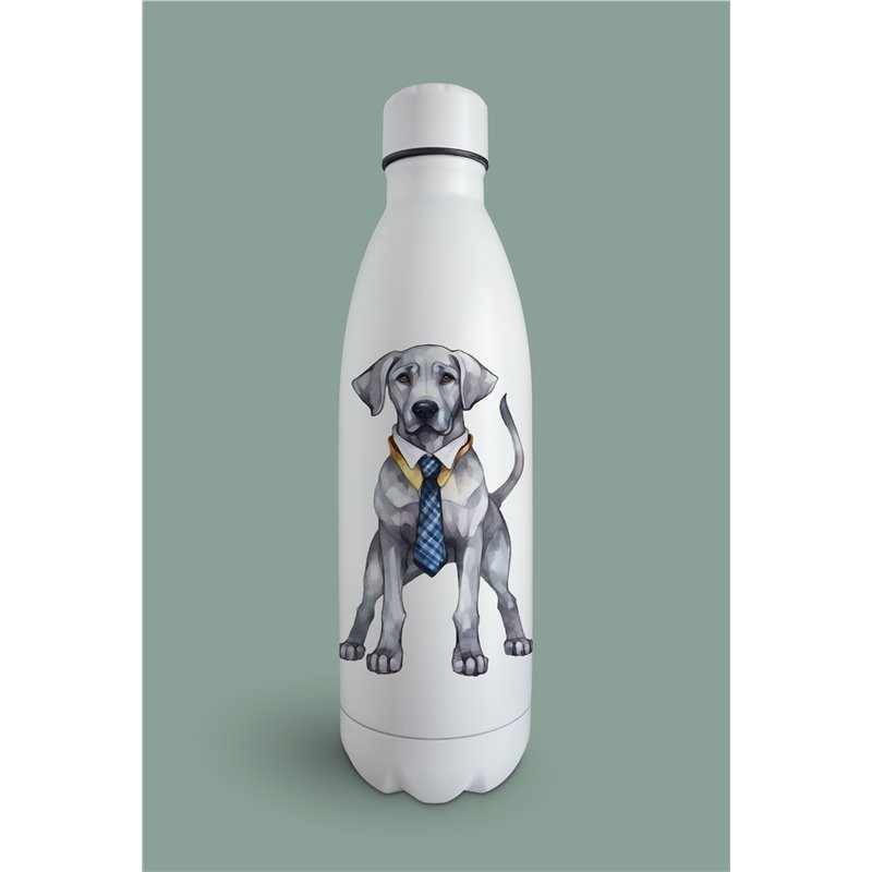 Insulated Bottle  - gd 8