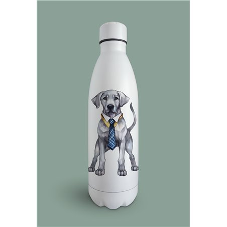 Insulated Bottle  - gd 8