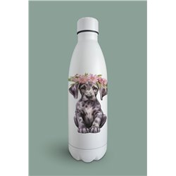 Insulated Bottle  - gd 10
