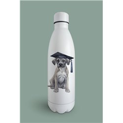 Insulated Bottle  - gd 11
