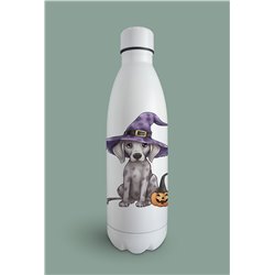 Insulated Bottle  - gd 12