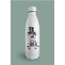 Insulated Bottle  - gd 13