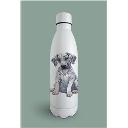 Insulated Bottle  - gd 14