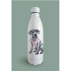 Insulated Bottle  - gd 15