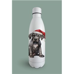 Insulated Bottle  - gd 16