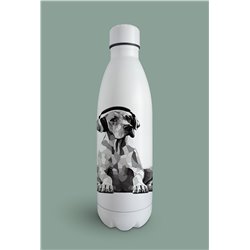 Insulated Bottle  - gd 17