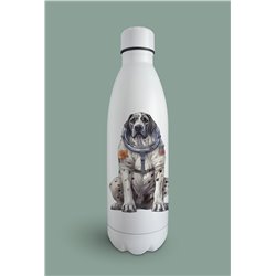 Insulated Bottle  - gd 19