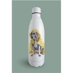 Insulated Bottle  - gd 21