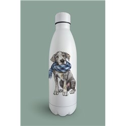 Insulated Bottle  - gd 22
