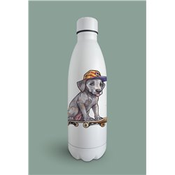 Insulated Bottle  - gd 23