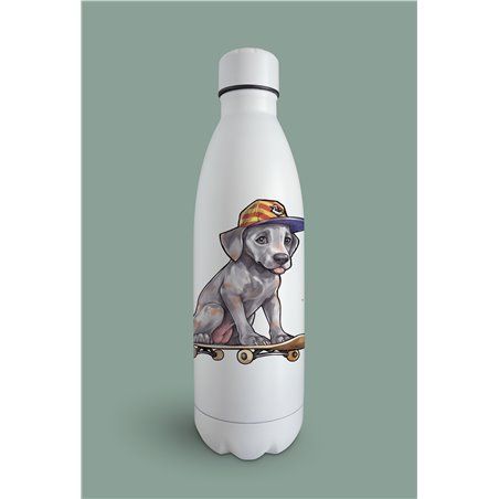 Insulated Bottle  - gd 23