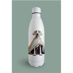 Insulated Bottle  - gd 26