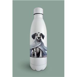 Insulated Bottle  - gd 27