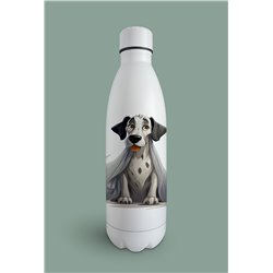 Insulated Bottle  - gd 28