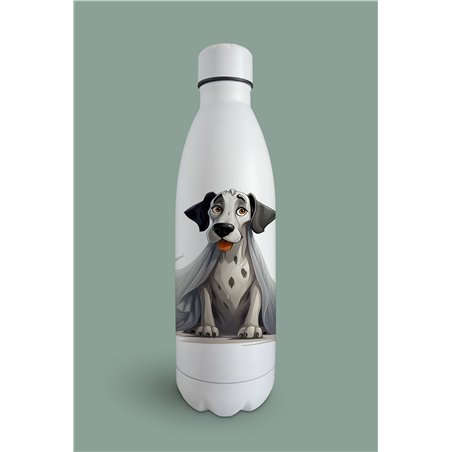 Insulated Bottle  - gd 28