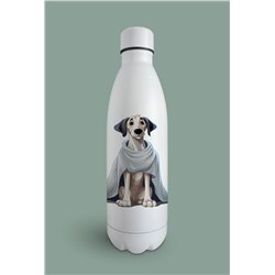 Insulated Bottle  - gd 29