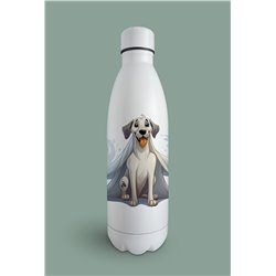 Insulated Bottle  - gd 31