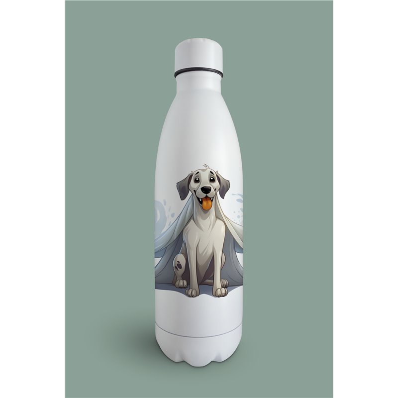 Insulated Bottle  - gd 31